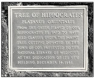 15d Hippocrates Plaque