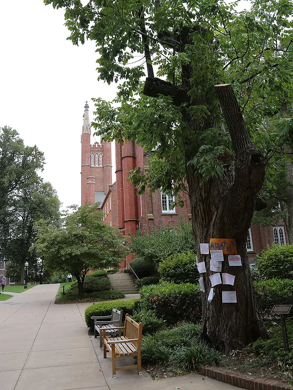 132b Protesttree